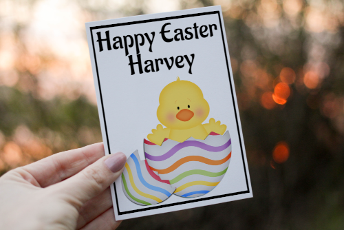 Duck Easter Card, Custom Chick Easter Card